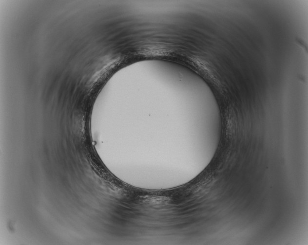 X0000099460539200805231808