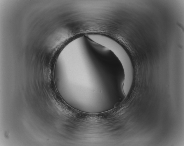 X0000099460540200805231808