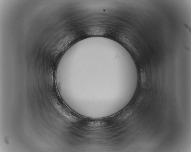 X0000099460541200805231808