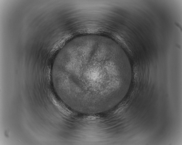 X0000099460542200805231808