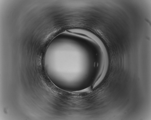 X0000099460543200805231808