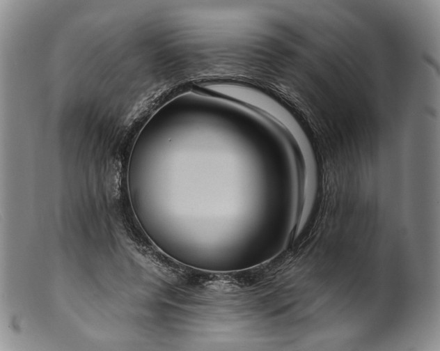 X0000099460544200805231808