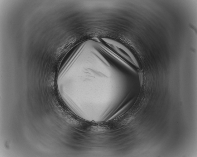 X0000099460545200805231808