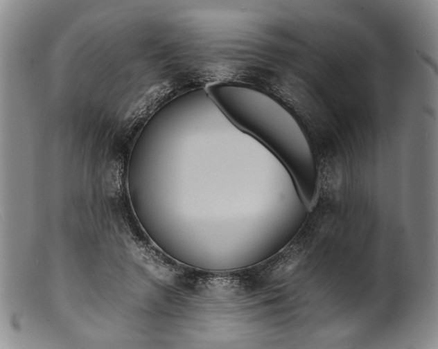 X0000099460546200805231808