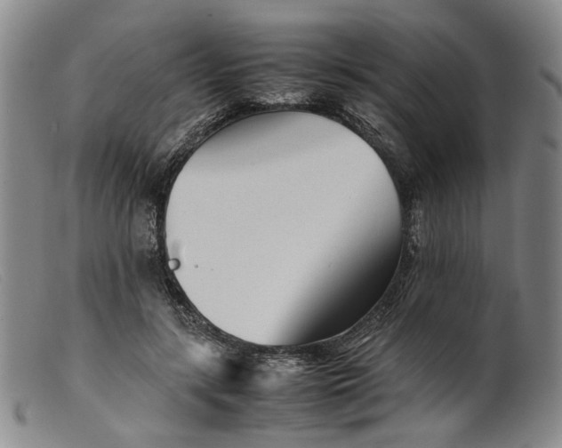 X0000099460547200805231809