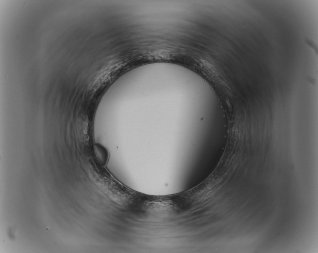 X0000099460548200805231809