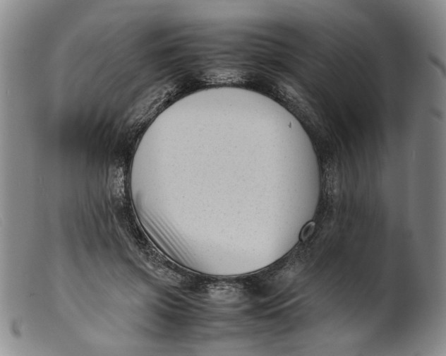 X0000099460549200805231809