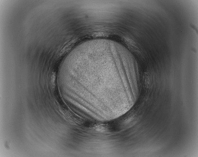 X0000099460550200805231809