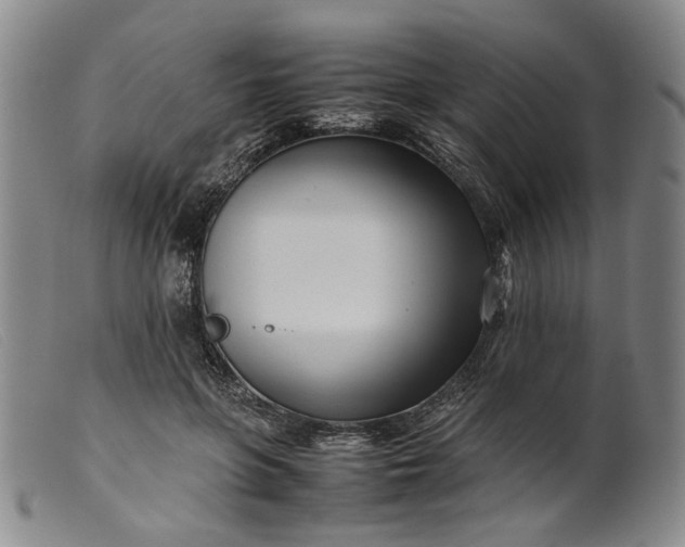 X0000099460551200805231809