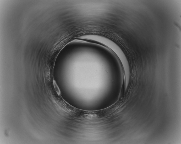 X0000099460552200805231809