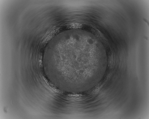 X0000099460553200805231809