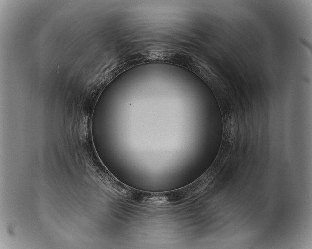 X0000099460554200805231809