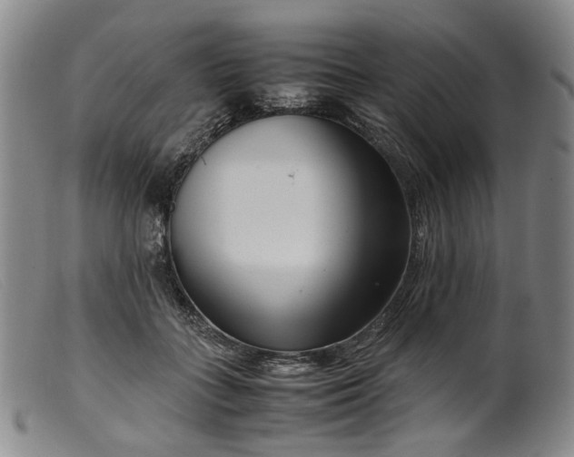 X0000099460555200805231809