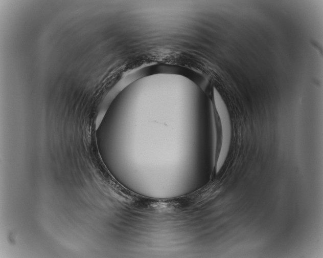 X0000099460558200805231809