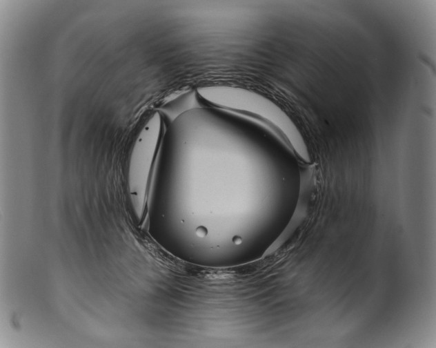 X0000099460560200805231809