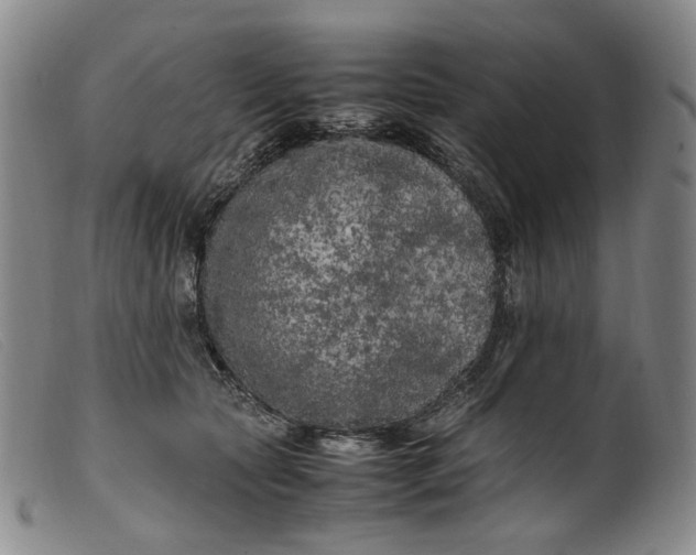 X0000099460561200805231809