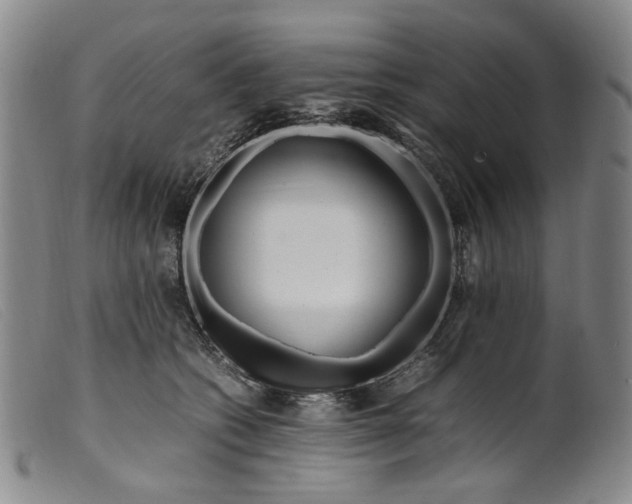 X0000099460562200805231809