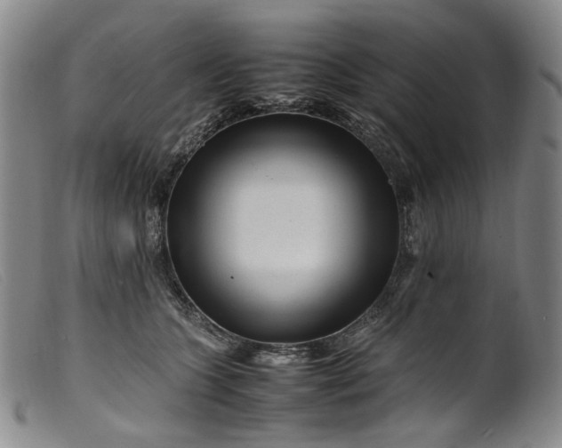 X0000099460563200805231809