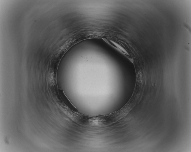 X0000099460564200805231809