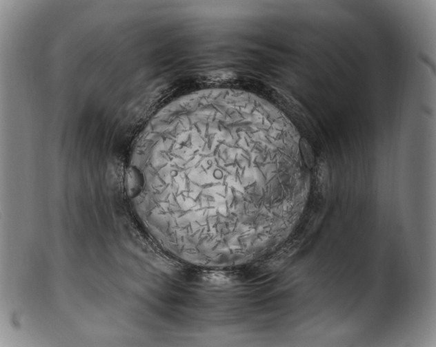 X0000099460565200805231809