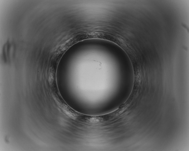 X0000099460566200805231809