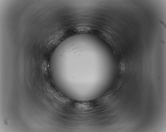 X0000099460567200805231809