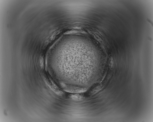 X0000099460568200805231809