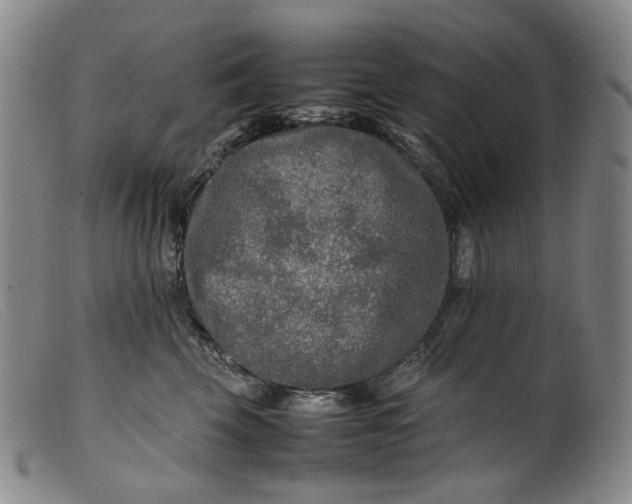 X0000099460569200805231809