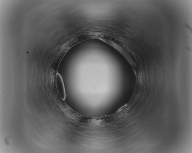 X0000099460570200805231809