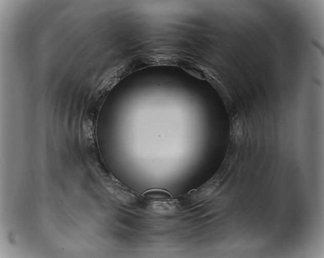 X0000099460571200805231809