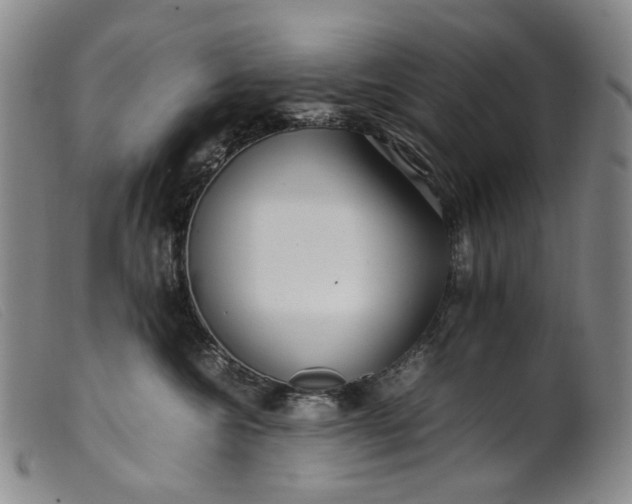 X0000099460572200805231809