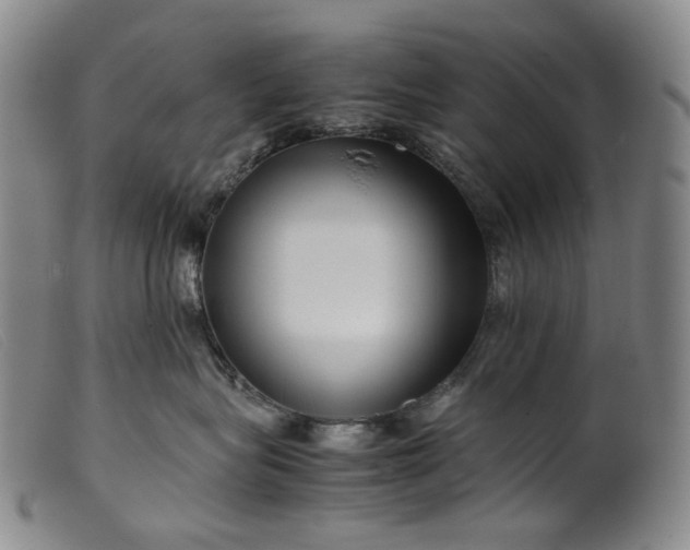 X0000099460575200805231809