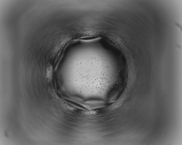 X0000099460576200805231809