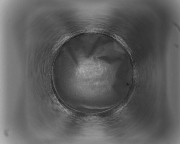 X0000099460577200805231808