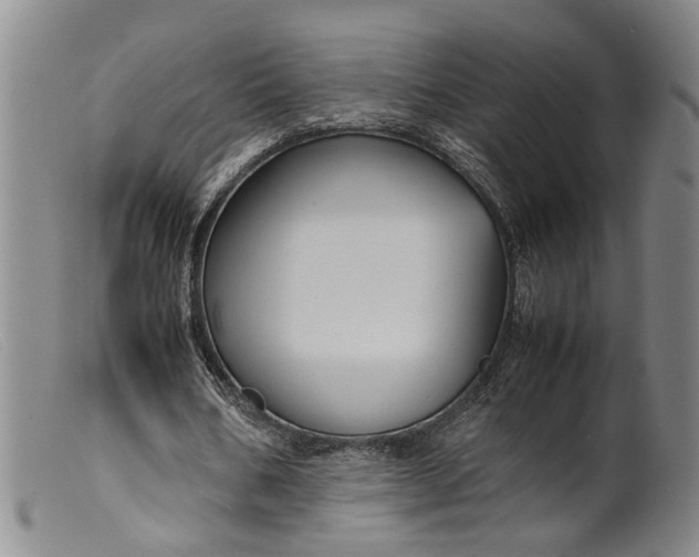 X0000099460578200805231808