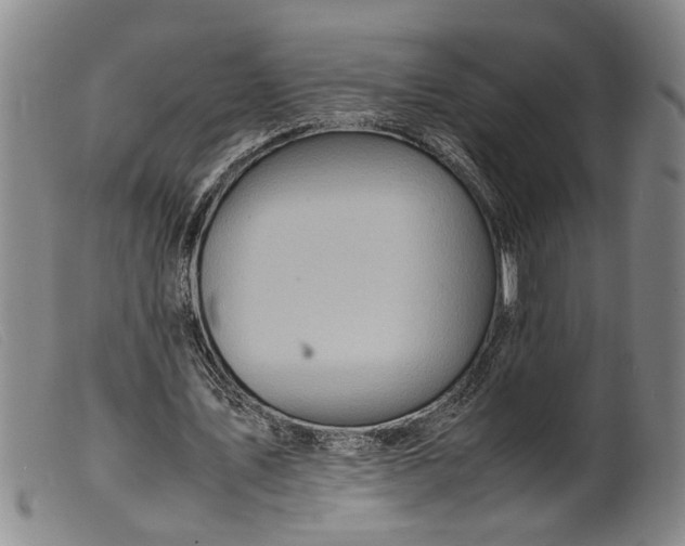 X0000099460579200805231808