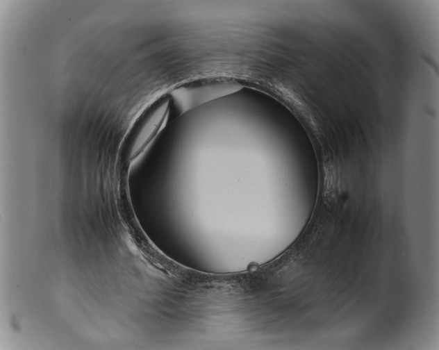 X0000099460580200805231808