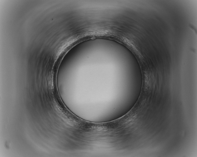 X0000099460582200805231808