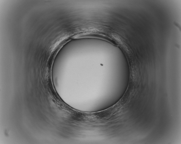 X0000099460583200805231808