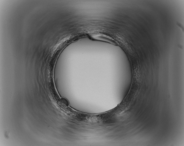 X0000099460587200805231808