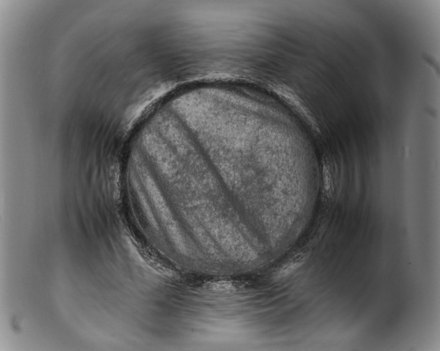 X0000099460588200805231808