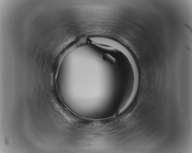 X0000099460589200805231808