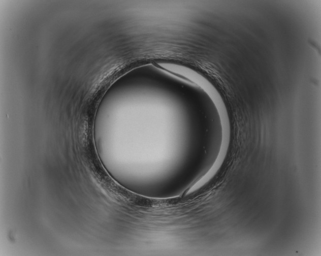 X0000099460591200805231808