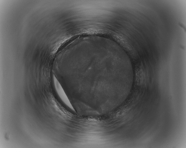 X0000099460592200805231808