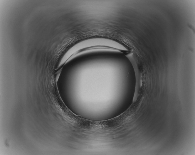 X0000099460593200805231808