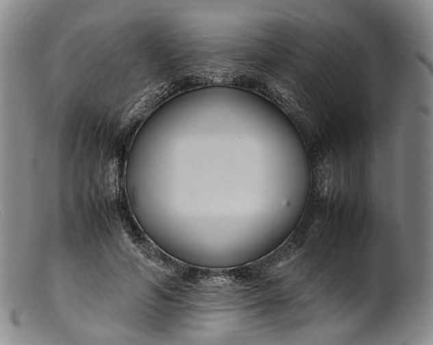 X0000099460594200805231808