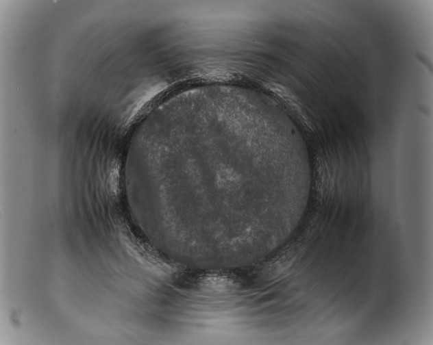 X0000099460596200805231808