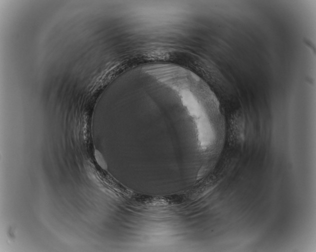 X0000099460600200805231808