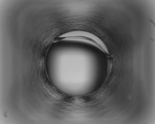 X0000099460601200805231808