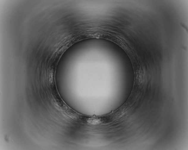 X0000099460602200805231808